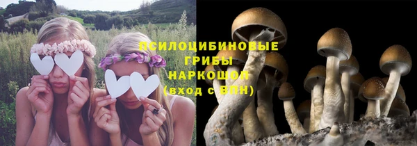 соль курить ск Армянск