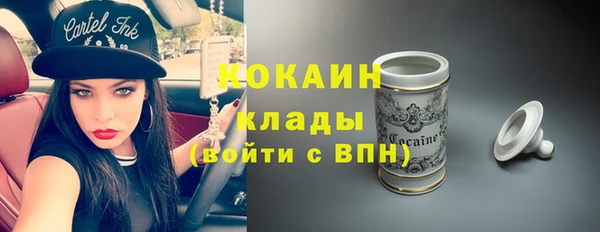 стаф Арсеньев