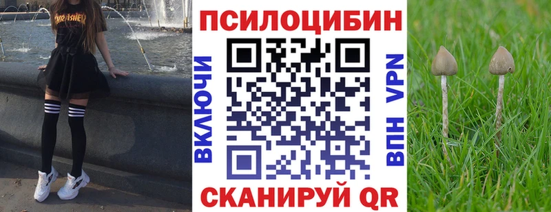 Галлюциногенные грибы Cubensis  Мензелинск 